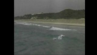 Многие утратили дорогу