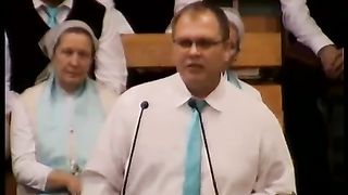 Владимир Меньшиков - Причина и повод