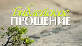 Вениамин Портанский - Библейское прощение