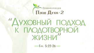 Алексей Коломийцев - Духовный подход к плодотворной жизни