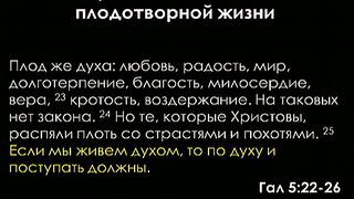 Алексей Коломийцев - Духовный подход к плодотворной жизни