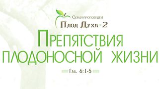 Алексей Коломийцев - Препятствия плодоносной жизни