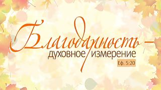 Алексей Коломийцев - Благодарность – духовное измерение