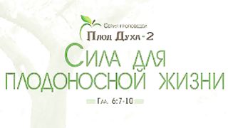 Алексей Коломийцев - Сила для плодоносной жизни