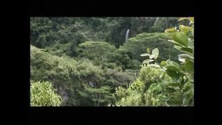 Жизнь прекрасна порой в ослепительном блеске лазури