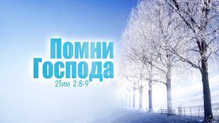 Алексей Коломийцев - Помни Господа