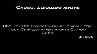 Алексей Коломийцев -  Жизнь, просвещающая тьму