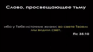 Алексей Коломийцев -  Жизнь, просвещающая тьму