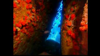 ХВАЛА ТВОРЦЮ - Псалми