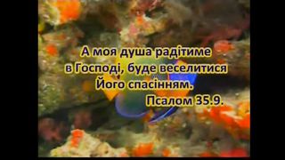 ХВАЛА ТВОРЦЮ - Псалми