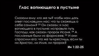 Алексей Коломийцев - Глас вопиющего в пустыне