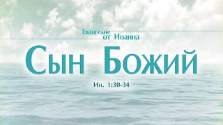 Алексей Коломийцев - Сын Божий