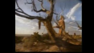 Чарівна голубінь небес