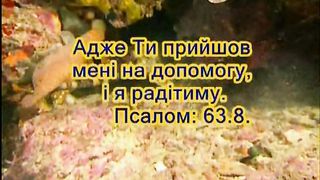 Небо і зорі, квіти у полі все це Бог створив