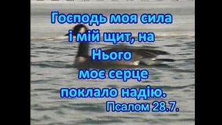 СТРУНИ НЕБЕС Збірка кліпів