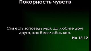 Алексей Коломийцев - Первое Петра - Покорность