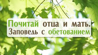 Алексей Коломийцев - Почитай отца и мать.