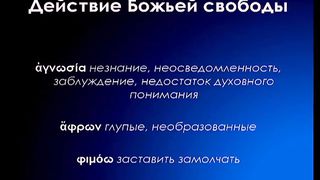 Алексей Коломийцев - Свободные делать  добро
