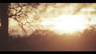 Расколъ. Трагедия века 1