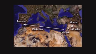 Виталий Рожко - Терпеливый Бог