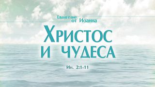 Алексей Коломийцев -  Христос и чудеса