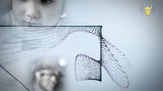 Інша сторона - Богдан Глуховецький