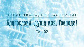 Алексей Коломийцев -  Благослови, душа моя, Господа!
