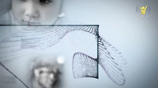 Інша сторона - Лікар, покликаний Богом