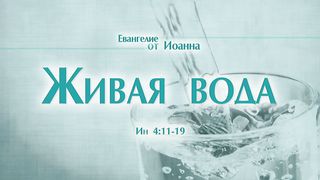 Алексей Коломийцев -  Живая вода