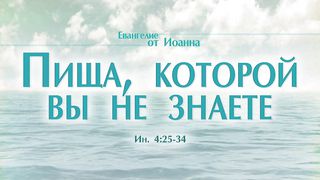Алексей Коломийцев - Пища, которой вы не знаете