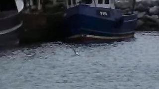 Приходи, Иисус, ко мне