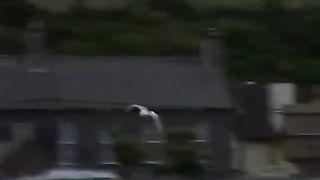 Приходи, Иисус, ко мне