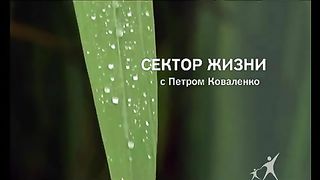 Сектор жизни с Петром Коваленко 1