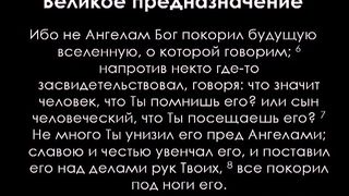 Алексей Коломийцев -  Высота искупления