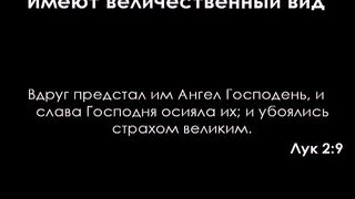 Алексей Коломийцев - Превосходнее ангелов