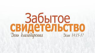 Алексей Коломийцев - Забытое свидетельство