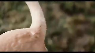 Ross Bramirskyy - Никогда не сдавайся