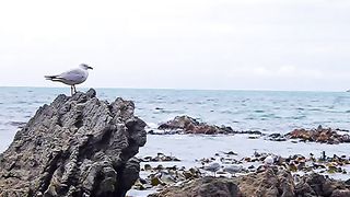 Ross Bramirskyy - Иисус песня