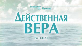 Алексей Коломийцев - Действенная вера