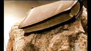 Сектор жизни с Петром Коваленко 5