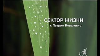 Сектор жизни с Петром Коваленко 6