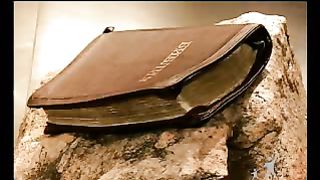 Сектор жизни с Петром Коваленко 7