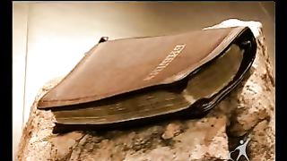 Сектор жизни с Петром Коваленко 13