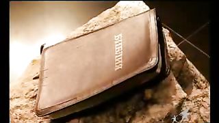 Сектор жизни с Петром Коваленко 14