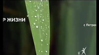 Сектор жизни с Петром Коваленко 15