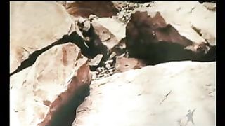 Сектор жизни с Петром Коваленко 17