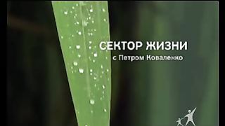 Сектор жизни с Петром Коваленко 18