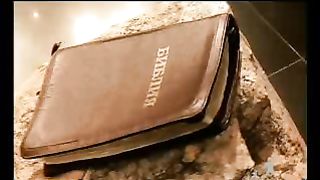 Сектор жизни с Петром Коваленко 20