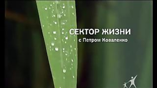 Сектор жизни с Петром Коваленко 21