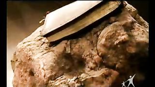 Сектор жизни с Петром Коваленко 22